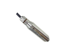 CYW11